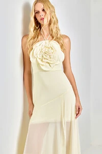 Vestido Longo Valsa das Flores - Ave Rara