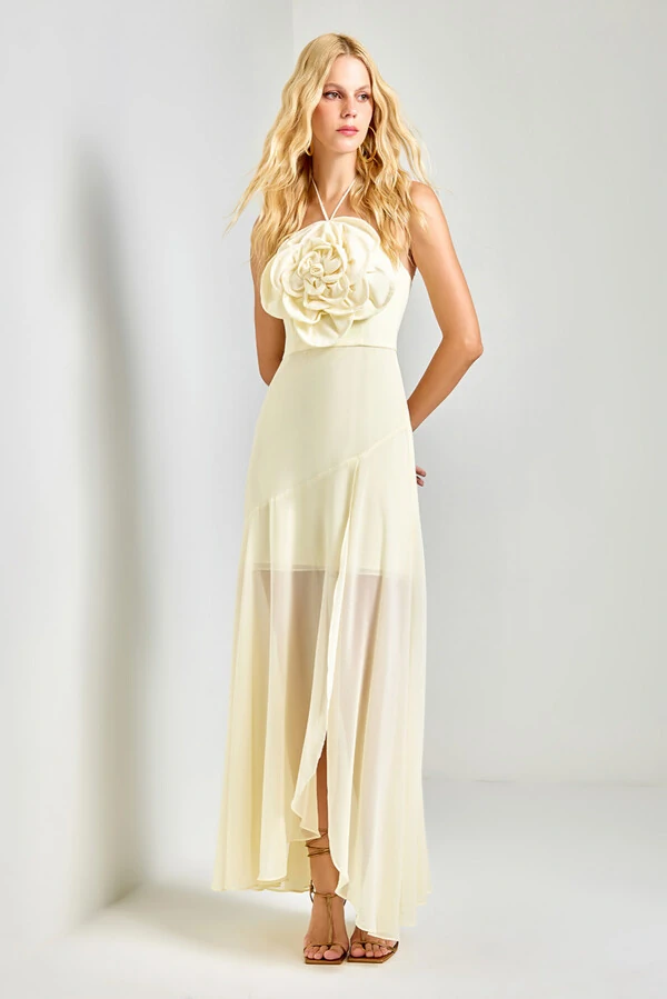 Vestido Longo Valsa das Flores - Ave Rara