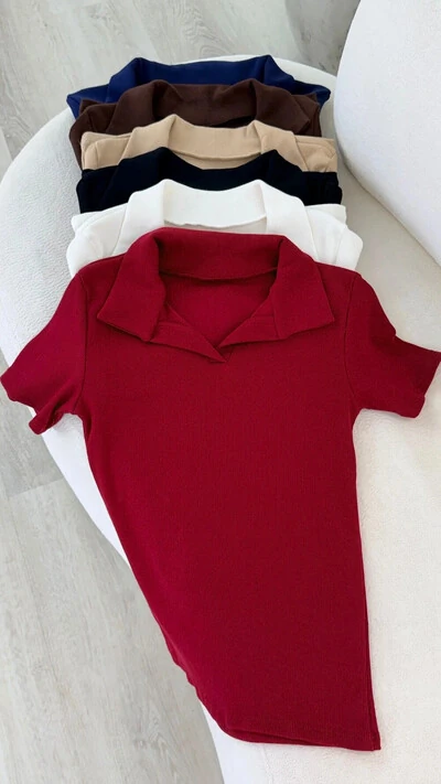 Foto Blusinha Regina