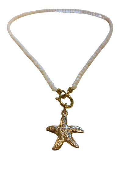 FotoColar Pérolas Estrela do Mar