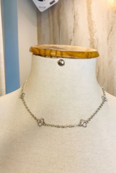 FotoColar em Banho Prata