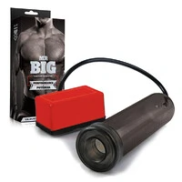 Desenvolvedor Peniano Mr. Big Elétrico 220V Fumê – Novo Motor