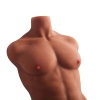 Boneco Homem Meio Corpo Pênis com Vértebra Ânus Penetrável