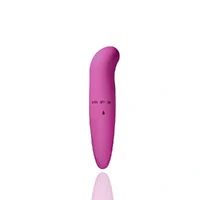 Vibrador Golfinho do Ponto G 12 cm x 2,5 cm