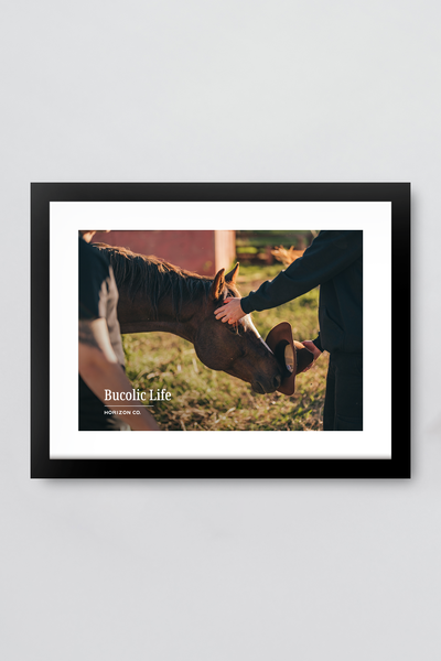 Foto Quadro Bucolic Life