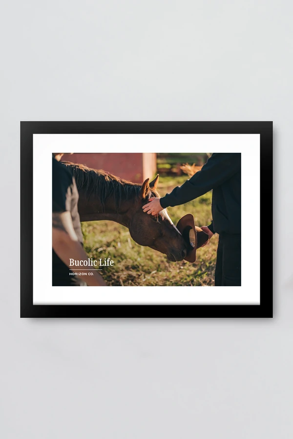 Quadro Bucolic Life