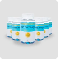 Kit 6 – Iron Cartilage