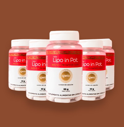 Foto Kit 6 – Lipo in Pot