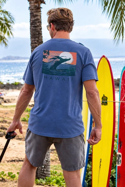 Foto Camiseta Estonada Surfwear Whale Watch Hawaii Azul