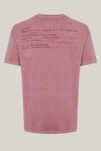 Camiseta regular fit flash John John