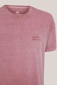 Camiseta regular fit flash John John