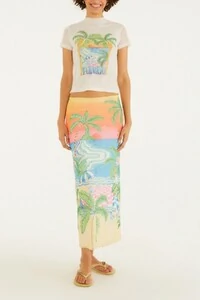 Saia midi tule paisagem solar Farm