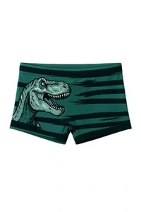 Sunga infantil estampa dinossauro Kwi