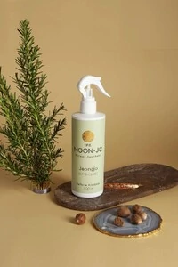 Perfume ambience jeongjo 500ml Moon Jo