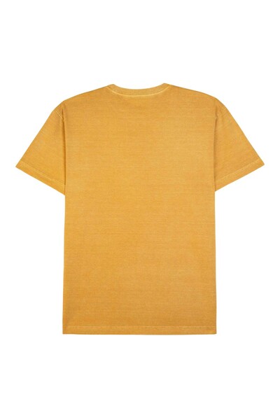 FotoT-shirt stone icones Osklen