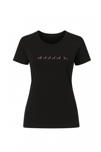 Foto T-shirt cachorro Kwi