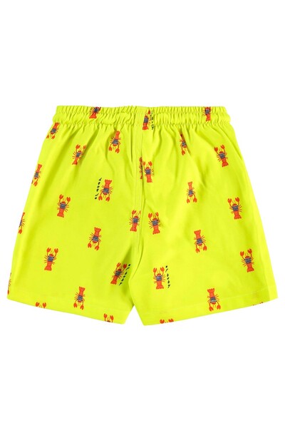 FotoShort em microfibra com elastano Up Baby