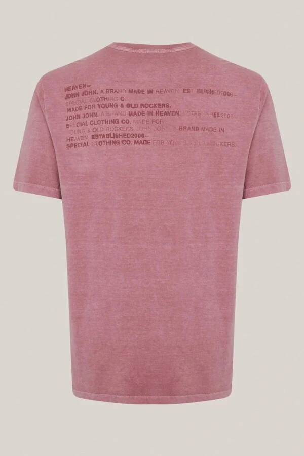 Camiseta regular fit flash John John
