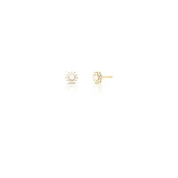 Brinco dourado ponto de luz zirc 4 garras e entorno cravejado PP