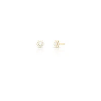 Brinco dourado flor cravejada zirconia cristal PP