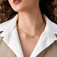 Colar dourado pingente orgânico liso e cravejado zircônia gray