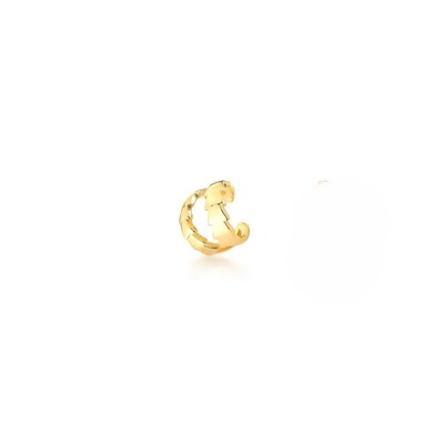 Foto Piercing fake dourado duplo escamas lisas