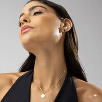 Conjunto Flor Diamantada