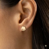 Conjunto Flor Diamantada