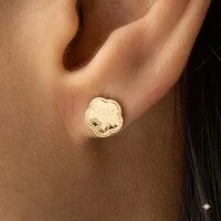 Brinco Flor Diamantada