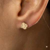 Conjunto Trevo Diamantado 3D