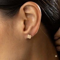 Conjunto Trevo Diamantado 3D