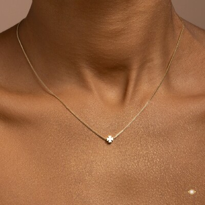 FotoGargantilha Trevo de Quatro Folhas