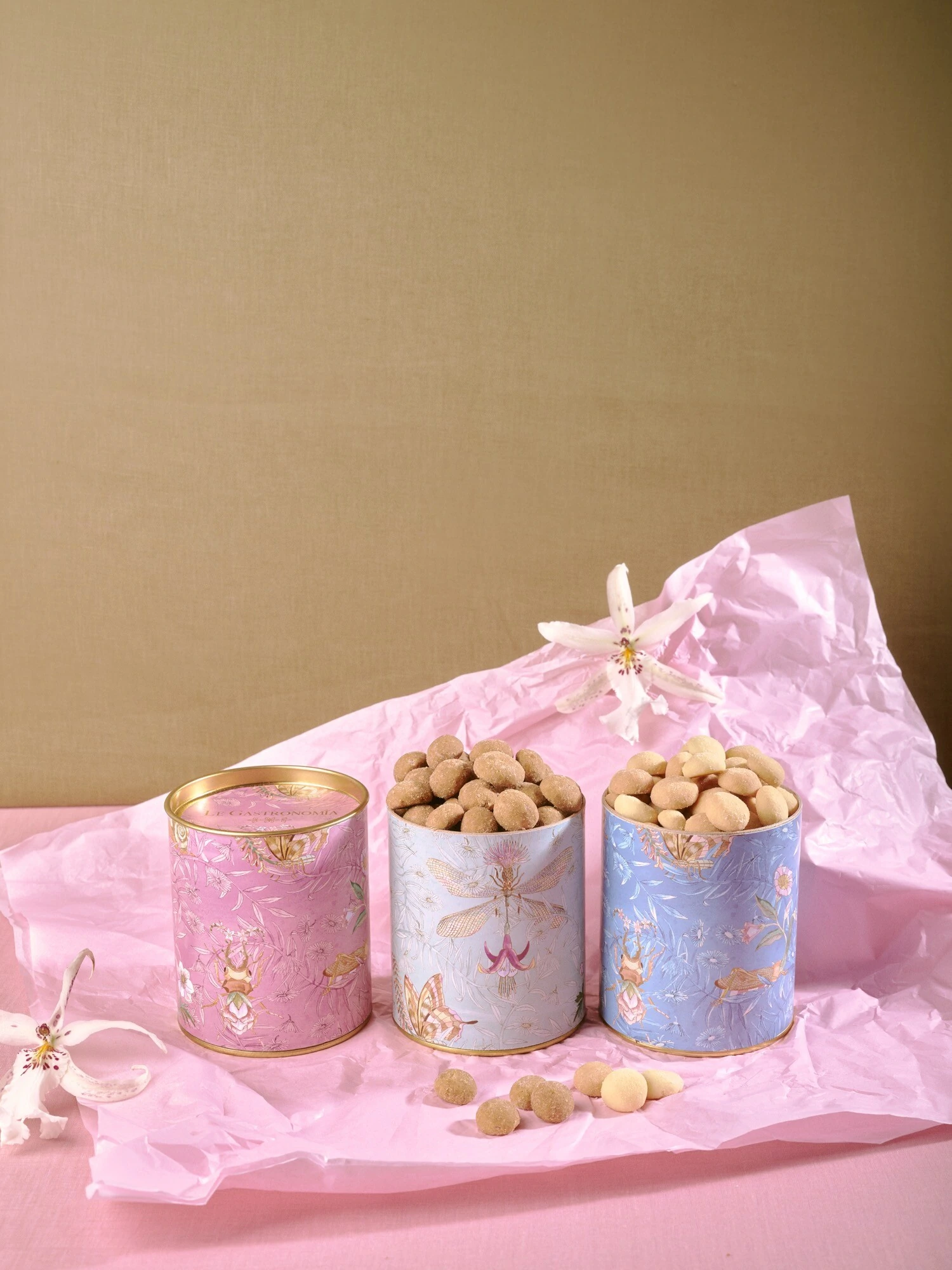 FotoLata Bichos Curayeb