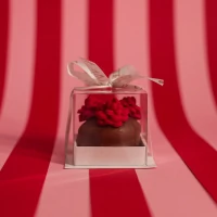 Caixa Individual Pão de Mel Tradicional especial Dia da Mulher