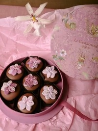 Caixa Bichos 07 Pães de Mel com Flor 3D