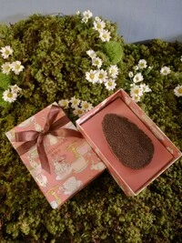 Ovo Páscoa 300gr - Pão de Mel de Brigadeiro