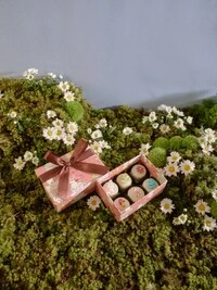 Caixa 06 Pães de Mel Mini com Apliques de Páscoa