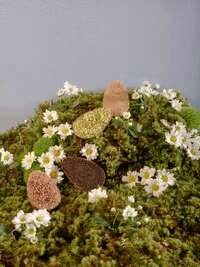 Ovinhos 70grs - Individuais