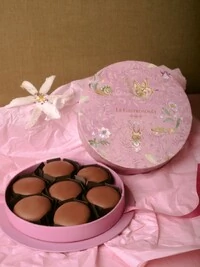 Caixa Bichos 07 Pães de Mel