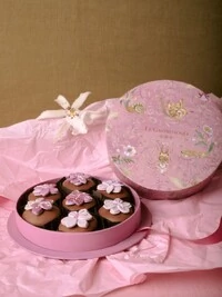 Caixa Bichos 07 Pães de Mel com Flor 3D