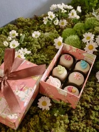 Caixa 06 Pães de Mel Mini com Apliques de Páscoa