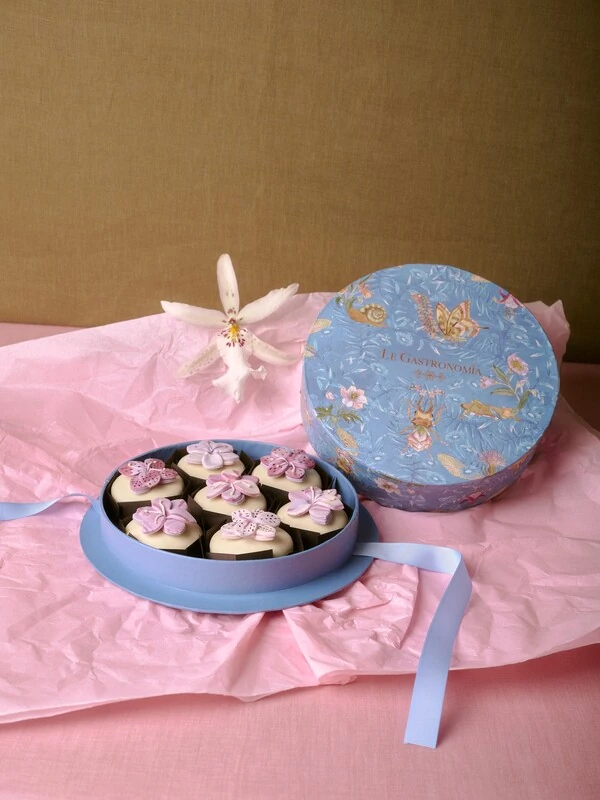 Caixa Bichos 07 Pães de Mel com Flor 3D