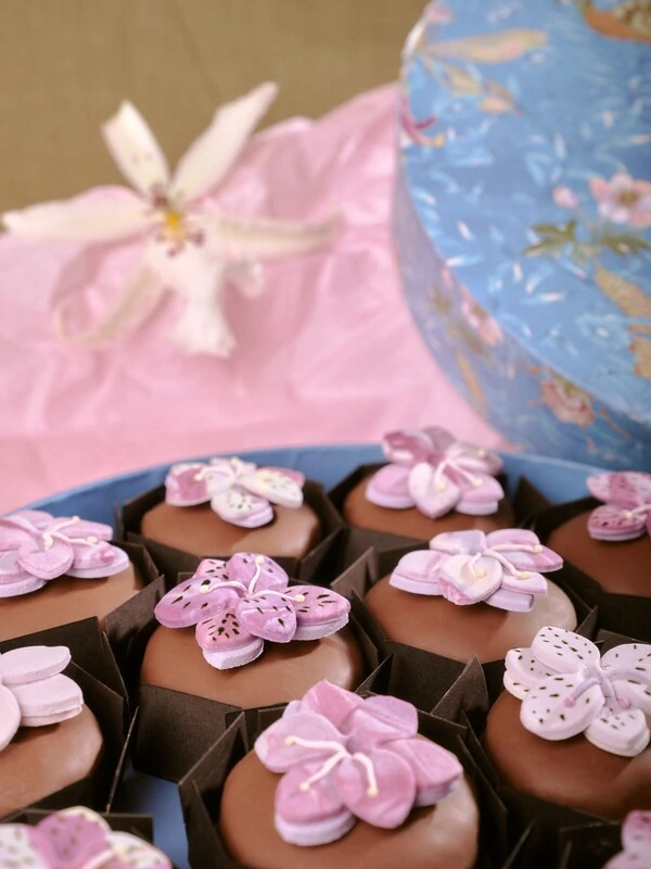 Caixa Bichos 14 Pães de Mel com Flor 3D