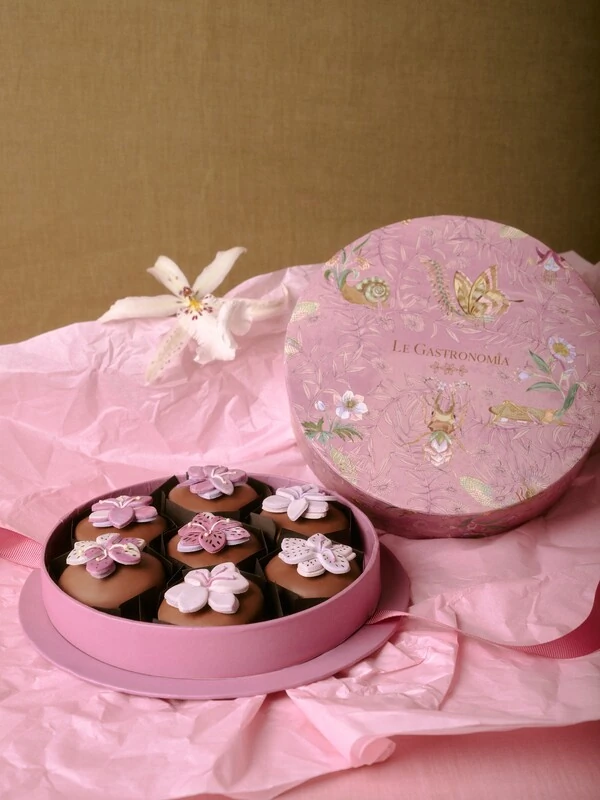 Caixa Bichos 07 Pães de Mel com Flor 3D