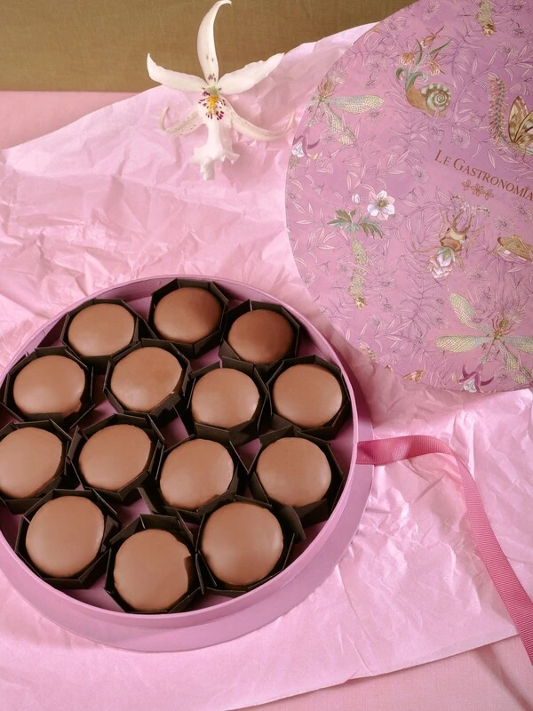 Caixa Bichos 14 Pães de Mel