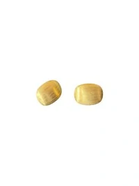Brinco Oval M escovado Prata 925 Ouro 18k