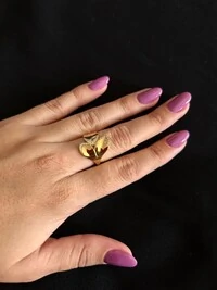 Anel Flor 3 pétalas liso zircônia borda Prata 925 Ródio