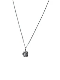 Colar Patinha micro cravação Prata 925 Ródio
