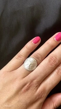 Anel Redondo Espírito Santo fosco zircônia Prata 925 Ródio