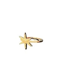 Anel Estrela Zircônia Prata 925 Ródio